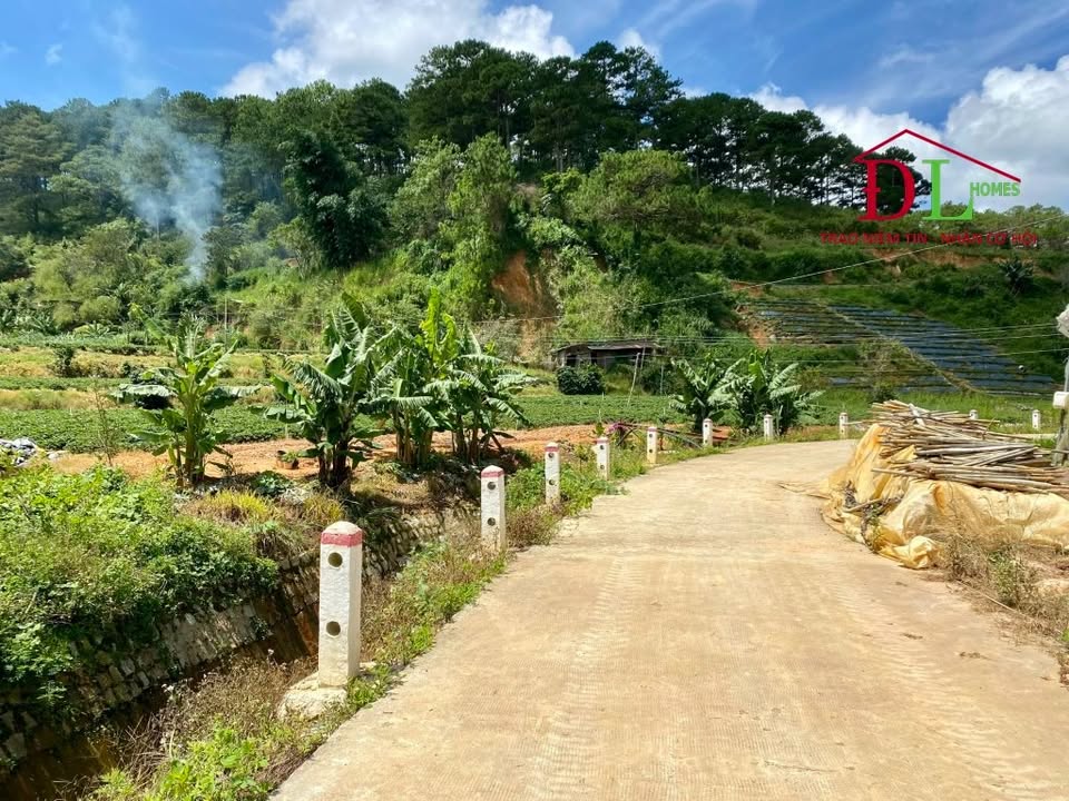 Đất thổ cư 2 mặt tiền Triệu Việt Vương Đà Lạt 1213m² - Cơ hội đầu tư hấp dẫn!