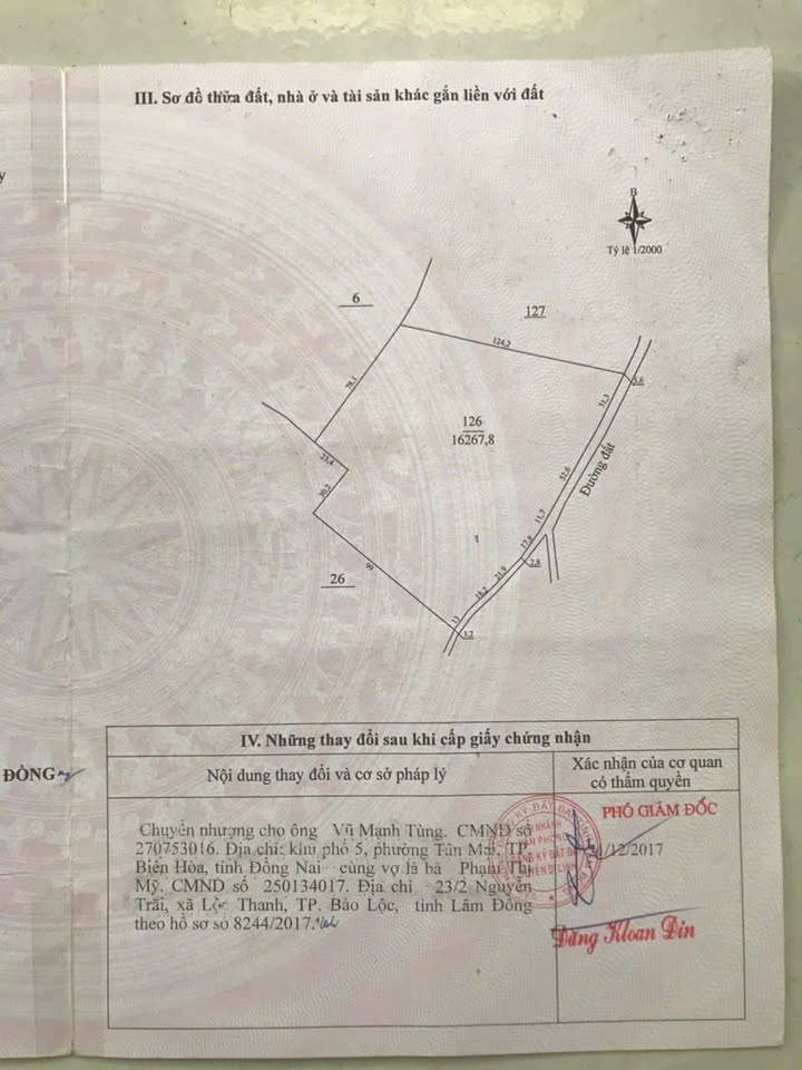 Đất nền mặt đường Tân Lâm, Di Linh 16.000m² giá 10 tỷ - Đầu tư sinh lời ngay!