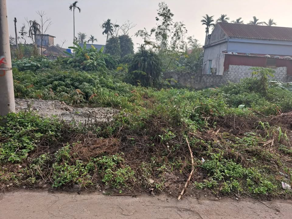 Đất Liên Am, Huyện Vĩnh Bảo 62m² giá 395 triệu - Đầu tư sinh lời ngay!