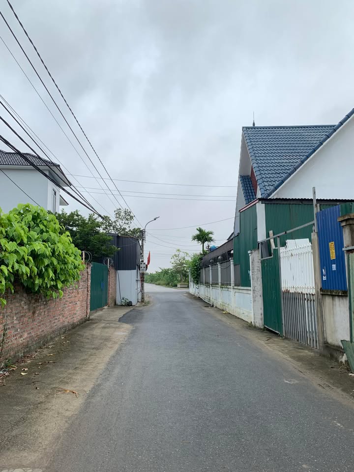 Đất Tân Hưng Vĩnh Bảo 133,5m² giá 2 tỷ - Mặt tiền đường nhựa ô tô tránh nhau!