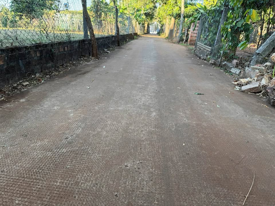 Đất nền 332 Tôn Đức Thắng, Biển Hồ, 150m² giá 780 triệu - Cơ hội đầu tư tuyệt vời!