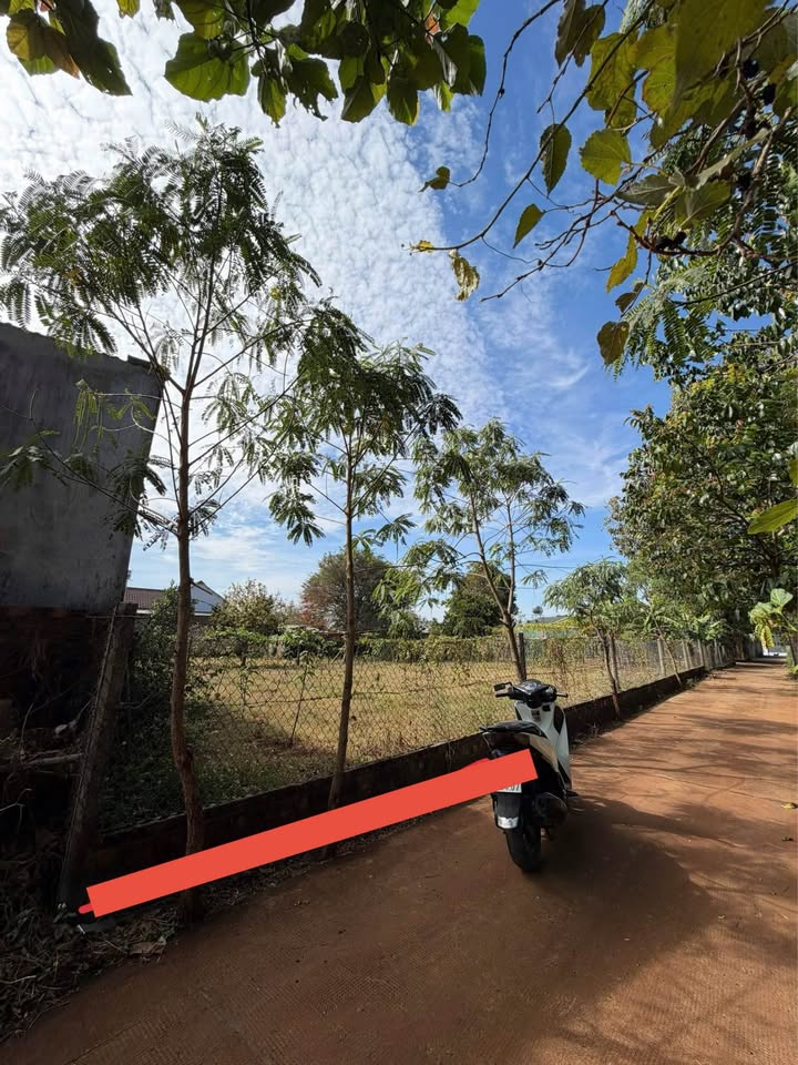 Đất hẻm 332 Tôn Đức Thắng, Biển Hồ, 150m² giá 700 triệu - Vị trí đẹp, dễ khai thác!