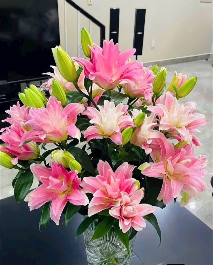 Lô đất Quảng Trung, Quảng Xương 180m² giá 1 tỷ - Cơ hội đầu tư tuyệt vời!