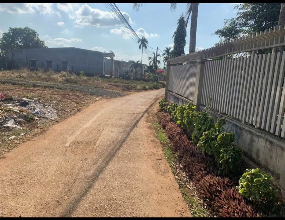 Đất nền Tân Hòa Cũ - Tân Lập Mới 115m² giá 1.5 tỷ - Sổ hồng chính chủ!