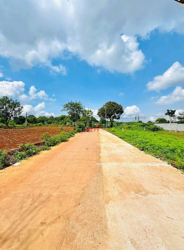 Đất 2 mặt tiền hẻm TDC đường 19/5 - Phường Ea Tam, 120m² giá 2.4 tỷ - Đầu tư sinh lời ngay!