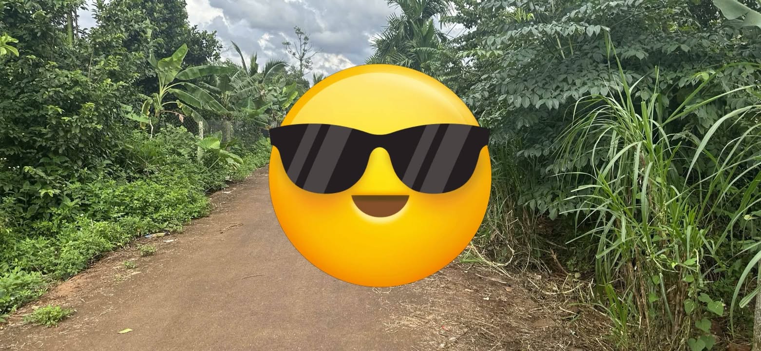 Đất nền Hòa Thắng 450m² giá 90 tỷ - Cơ hội đầu tư hấp dẫn!