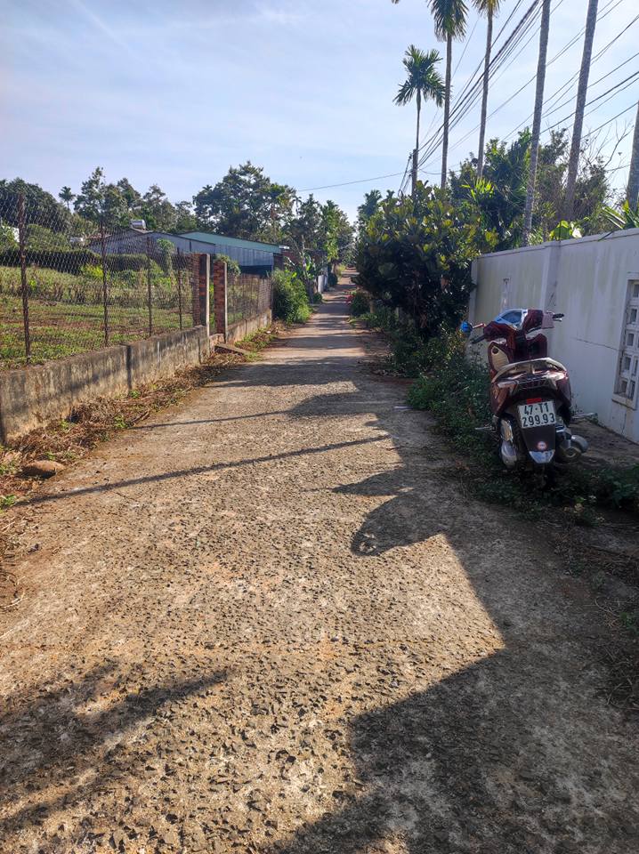 Đất thổ cư Tân Lập, Buôn Ma Thuột 225m² giá chỉ 1.35 tỷ - Đầu tư sinh lời!