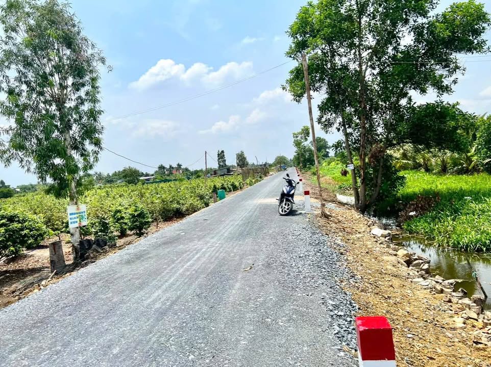 Đất nông nghiệp Bình Chánh 1000m² giá 2.8 tỷ - Đường ô tô vào tận nơi!