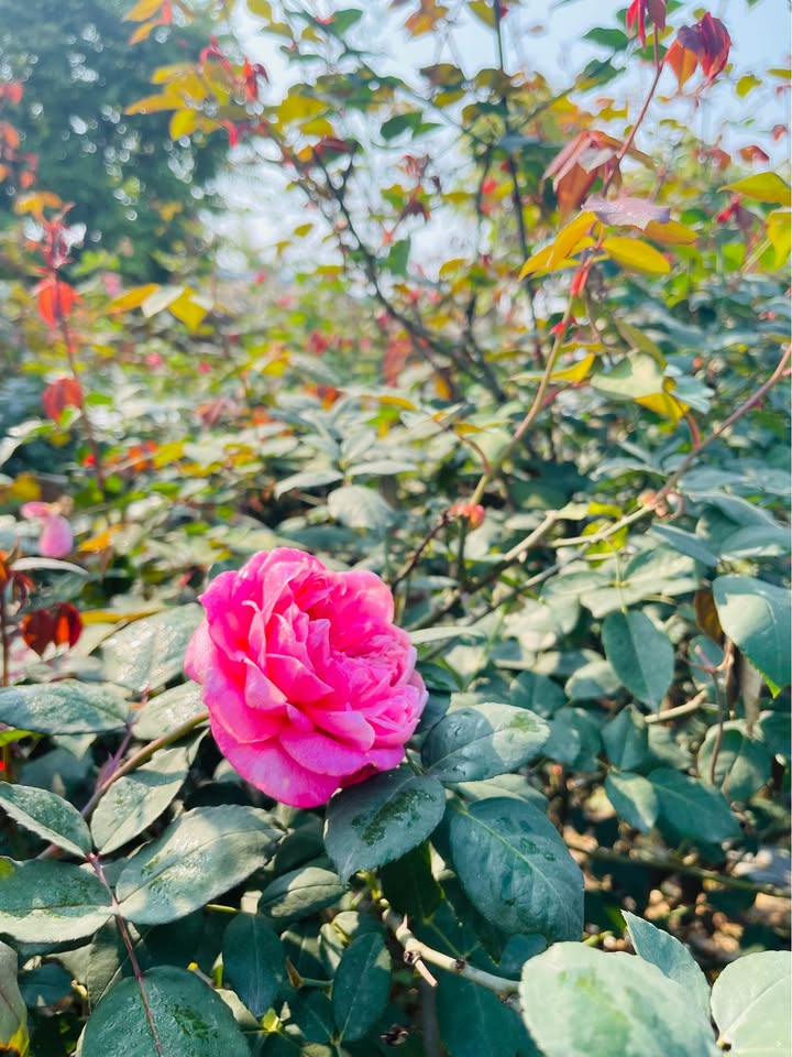 Đất nền Tuyên Quang 92m² giá thỏa thuận - Đường bê tông 5m, sổ đỏ chính chủ!