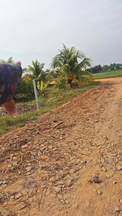 Đất thổ cư Xã Long Chữ, Huyện Bến Cầu, Tây Ninh 257m² giá 365 triệu - Đầu tư sinh lời ngay!