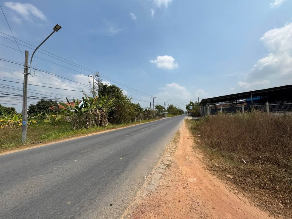 Đất lúa 7000m² tại Cẩm Giang, Gò Dầu - Giá chỉ 1.3 tỷ, thương lượng!