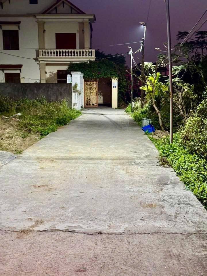 Đất nền Tân Viên, An Lão 60m² giá 1.28 tỷ - Đường ô tô vào tận nơi!