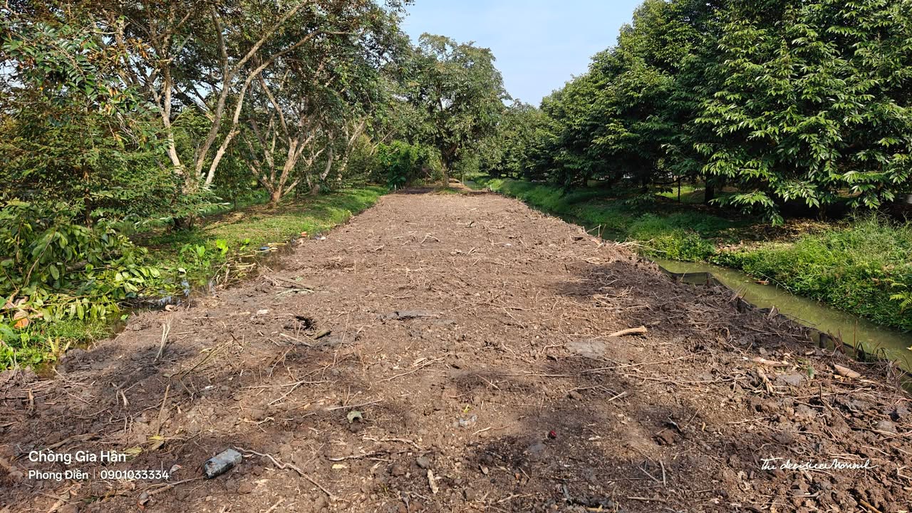 Đất nền Trường Long, 304m² giá 750 triệu - Cơ hội đầu tư hấp dẫn!