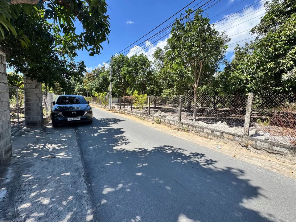 Đất thổ cư 227m² tại Cam Thành Bắc - Vị trí đẹp, tiềm năng tăng giá cao!