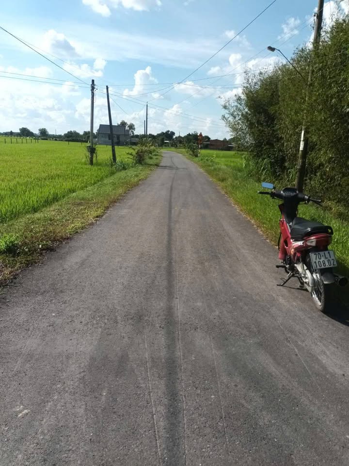 Đất mặt tiền nhựa Kp. An Đước, Tây Ninh 900m² - Vị trí đẹp, giá hấp dẫn!