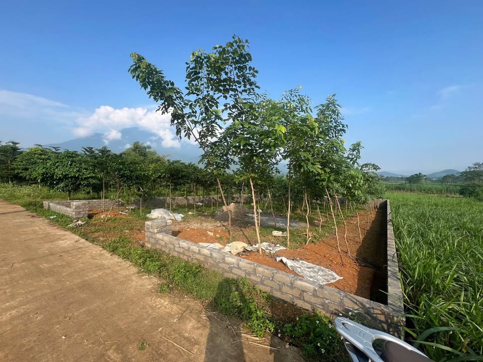 Đất thổ cư Yên Bài 350m² giá thỏa thuận - Mặt tiền rộng 15m, cơ hội đầu tư tốt!