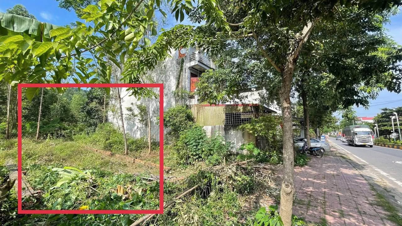 Đất nền gần Hồ Đại Lải Vĩnh Phúc 100m² giá 3 tỷ - Vị trí đắc địa cho kinh doanh!