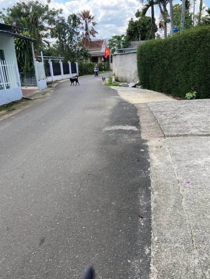 Đất mặt tiền Hà Huy Tập, Bảo Lộc 216m² giá 7.2 tỷ - Cơ hội đầu tư tuyệt vời!