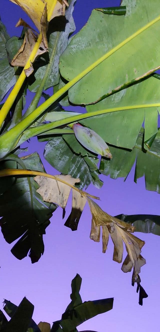 Đất nền Khu dân cư Thái Bình Dương, Tân Hiệp 80m² giá 2.65 tỷ - Đầu tư sinh lời hấp dẫn!