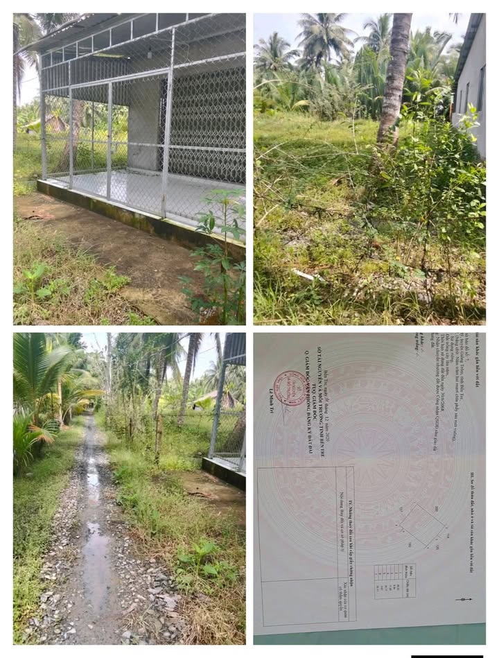 Đất nền xã Long Mỹ, huyện Giồng Trôm, Bến Tre 529m² giá 520 triệu - Cơ hội đầu tư tuyệt vời!