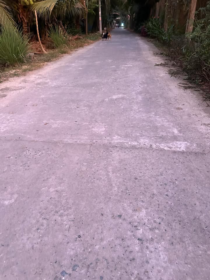 Đất nền biệt thự Sơn Đông Bến Tre 432m² giá 1.6 tỷ - Sổ hồng chính chủ!