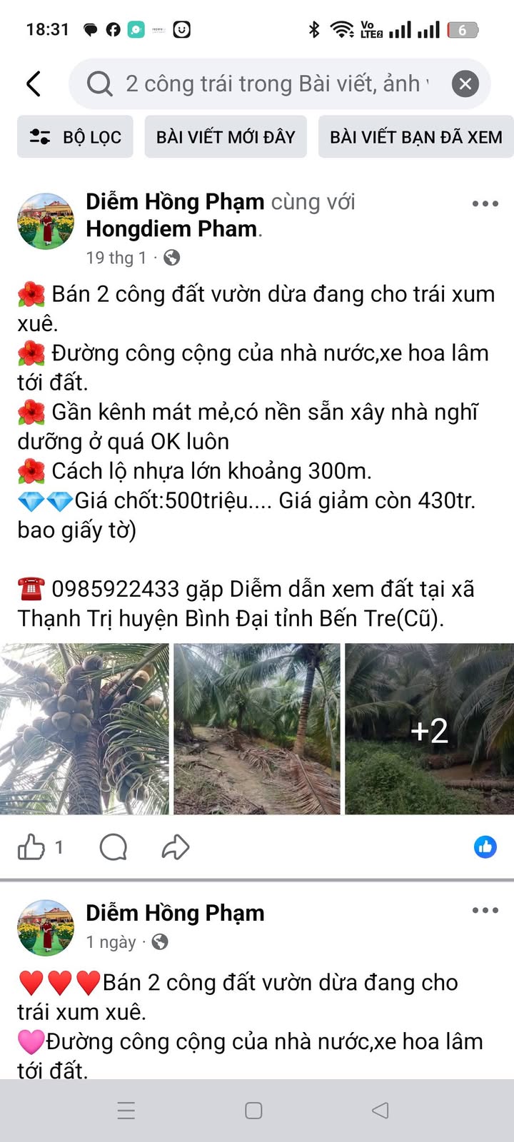 Farm 2000m² tại Xã Thạnh Trị, Bình Đại giá chỉ 500 triệu - Đầu tư sinh lời!