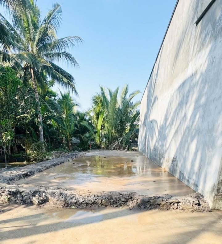 Đất thổ cư Phú Khương Bến Tre 126m² giá 890 triệu - Sổ đỏ chính chủ