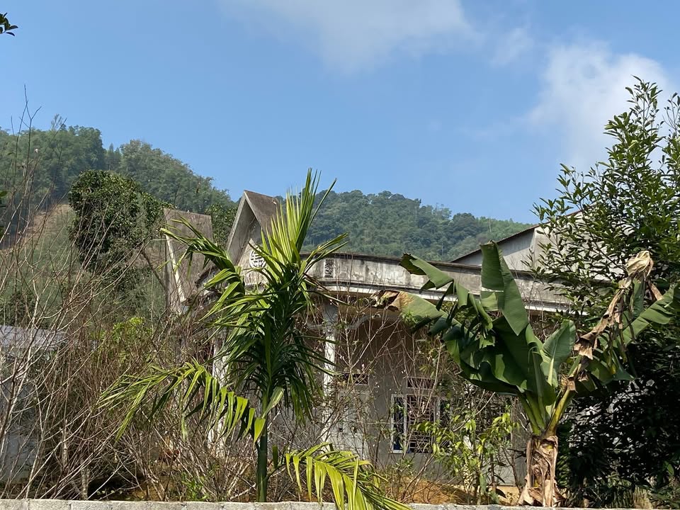 Đất Farm 1000m² tại Xã Đông Thành, Phú Thọ giá chỉ 1 tỷ - Sẵn nhà và vườn đẹp!