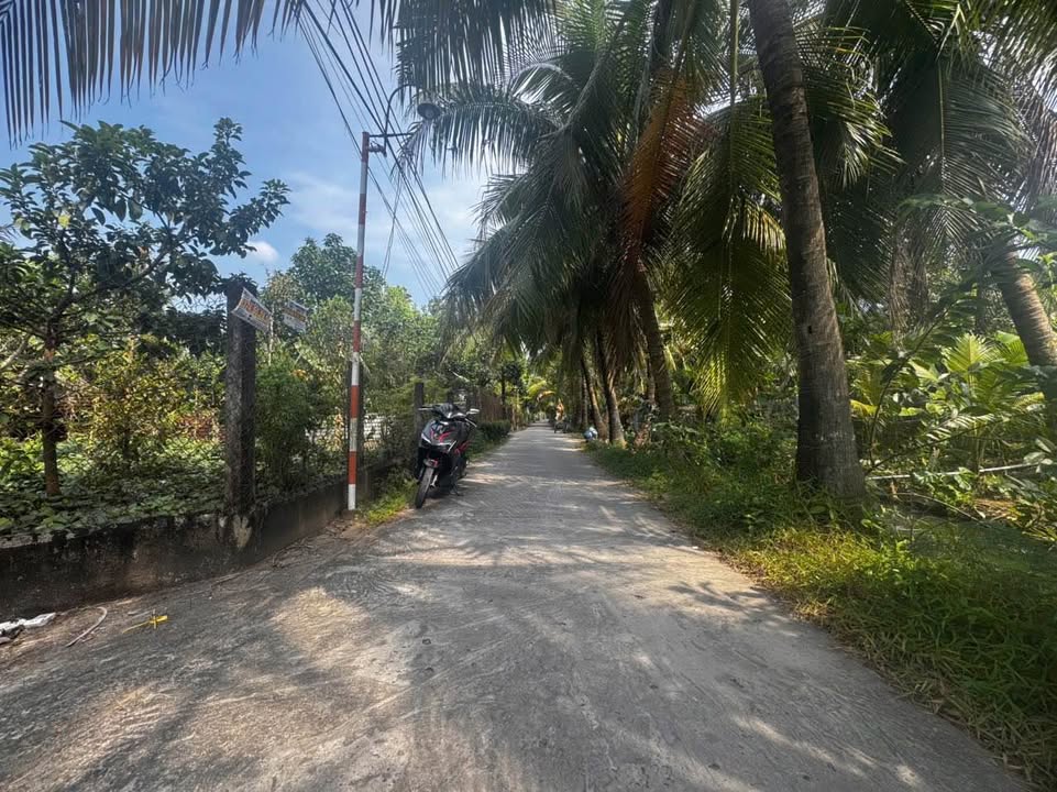 Đất nền Ấp Tân Thuận, xã Bình Đức, 154m² giá 800 triệu - Đầu tư sinh lời hấp dẫn!