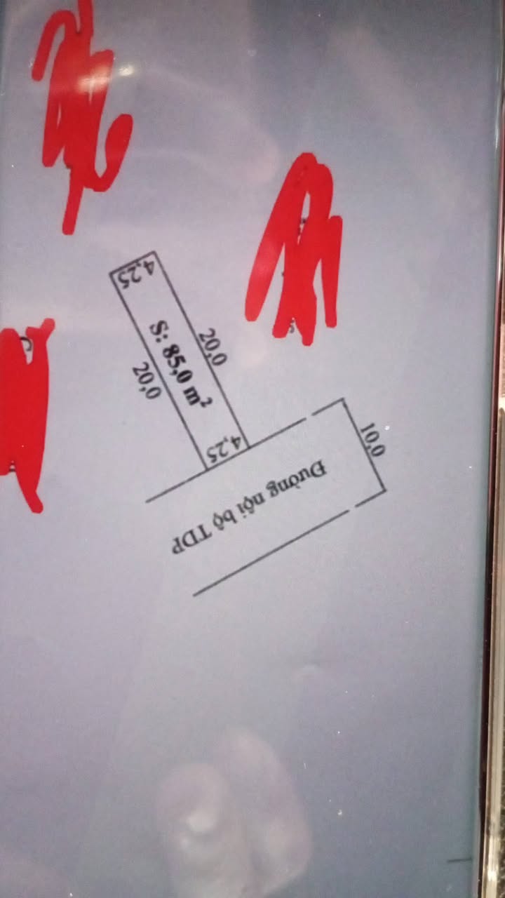 Đất nền tại Tân Hợp, Kiến Thụy, Hải Phòng 85m² - Hướng Đông, Giá tốt cho đầu tư!