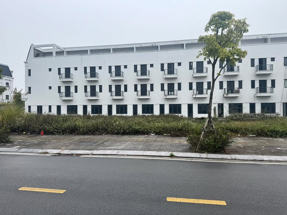 3 Lô Đất Liền Kề Thị Trấn Quảng Hà 300m² - Sổ Hồng Chính Chủ, Giá Hợp Lý!