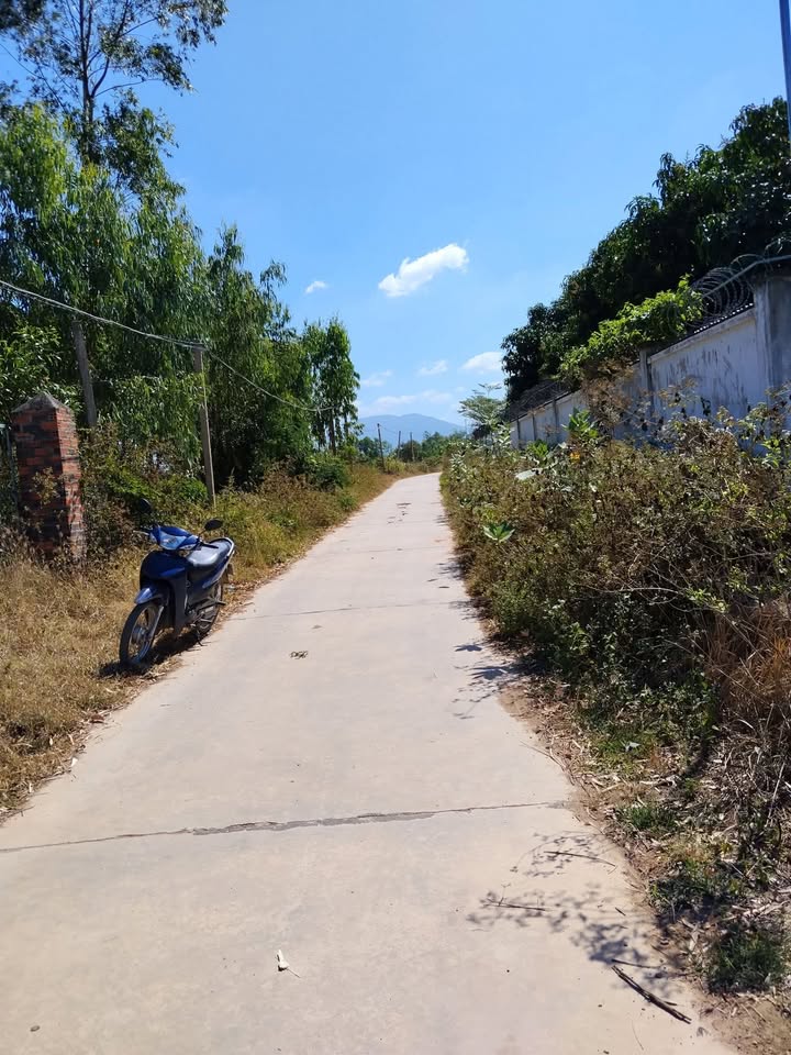 Đất Farm 4000m² Huyện Diên Khánh giá 1 tỷ - Thích hợp nghỉ dưỡng!