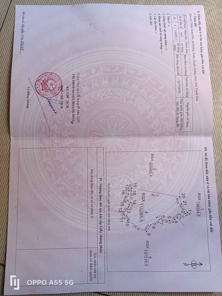 Đất rừng sản xuất 11ha tại Hoằng Xuân, Hoằng Hóa - Giá chỉ 1 tỷ