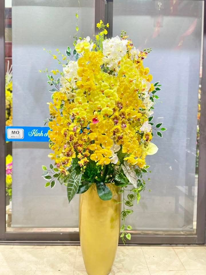 Đất nền 600m² tại Tân Phong, Quảng Xương - Giá chỉ 2 tỷ - Đầu tư sinh lời!