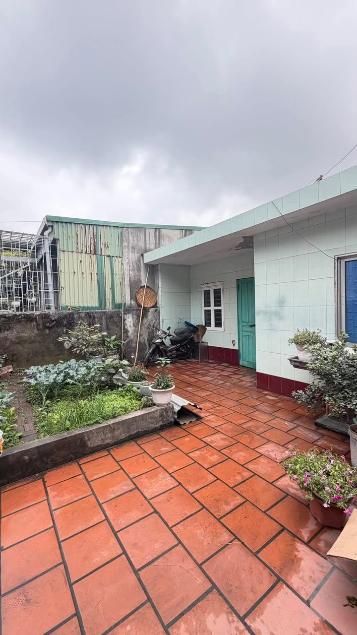 Nhà phố Cẩm Tây, Cẩm Phả 126m² giá 1.33 tỷ - Mặt tiền 2 hướng, ô góc