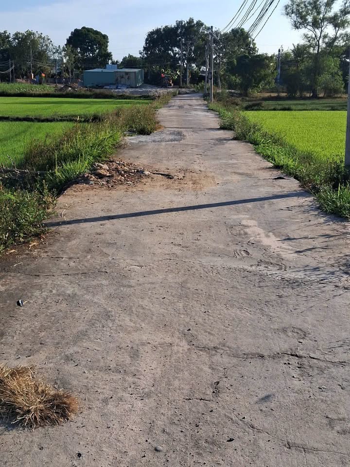 Đất nền 2000m² Phong Nẩm, Bình Thuận giá 5.5 tỷ - Cơ hội đầu tư hấp dẫn!