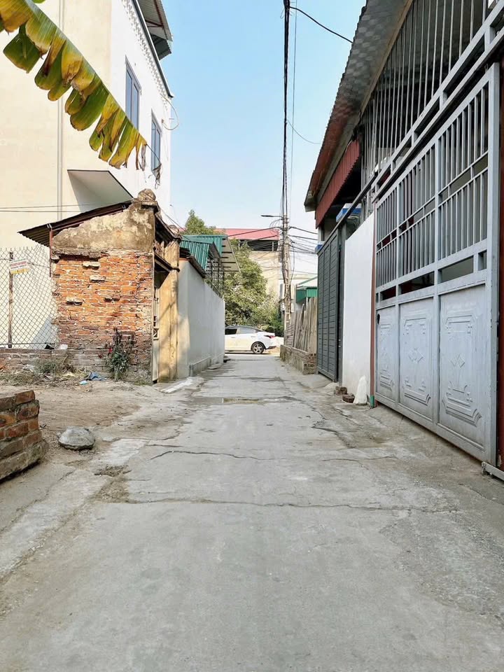 Đất nền Lỗ Giao, Việt Hùng Đông Anh 42,3m² giá 3.9 tỷ - Cơ hội đầu tư hiếm có!