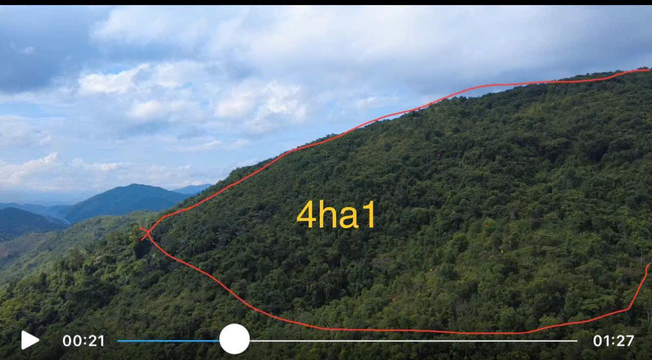 Đất nông nghiệp 4ha1 tại Vĩnh Thạnh, Nha Trang - Giá chỉ 350 triệu