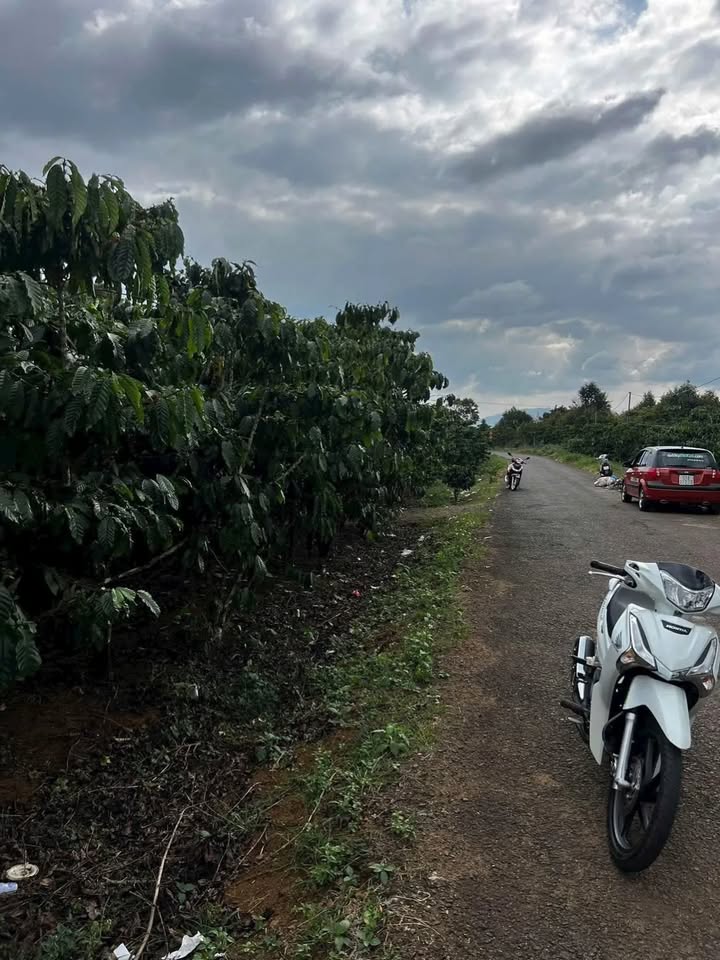 Đất nền phường Lộc Phát 2700m² giá 7.5 tỷ - Thế đất bằng đẹp, ôm mặt tiền đường nhựa!