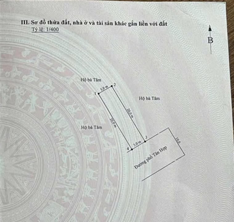 Đất nền 100m² mặt đường 10m tại Tân Hợp, Dương Kinh - Giá tốt chỉ 2x triệu/m²!