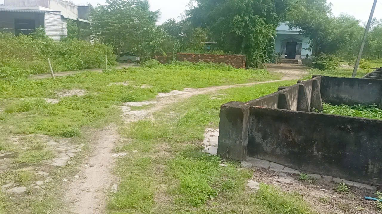 Đất nền Tân Phước, La Gi 1500m² giá thương lượng - Cơ hội đầu tư tốt!