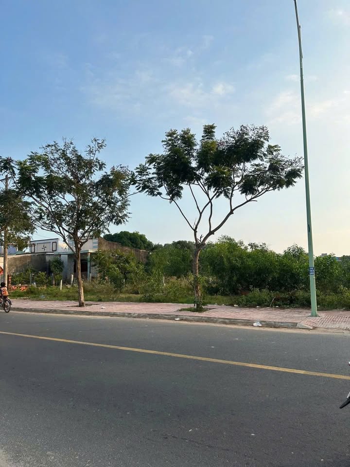 Lô đất mặt tiền đường Lê Minh Công, La Gi, 100m² - Đầu tư sinh lời gần biển!