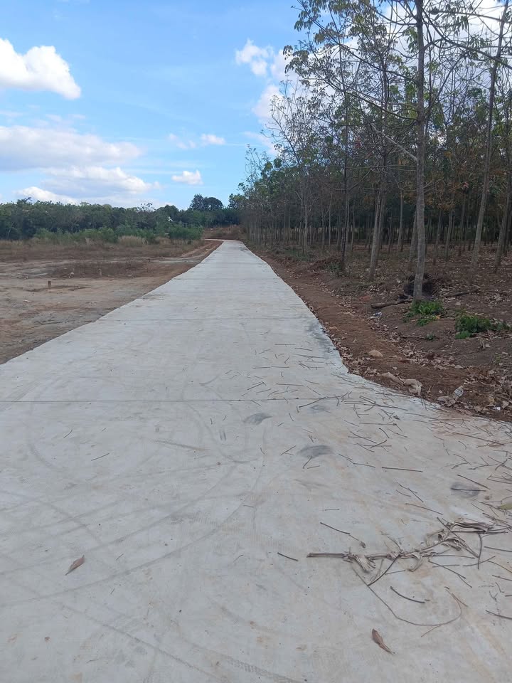 Đất vườn cao su Lộc An 2,8ha giá 28 tỷ - Đầu tư sinh lời hấp dẫn!