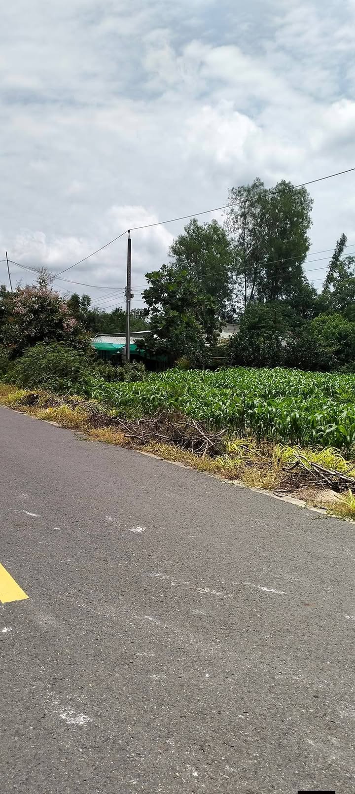 Đất mặt tiền ấp Hố Đá, xã Long Tân, 1900m² giá 5.5 tỷ - Đầu tư sinh lời nhanh chóng!