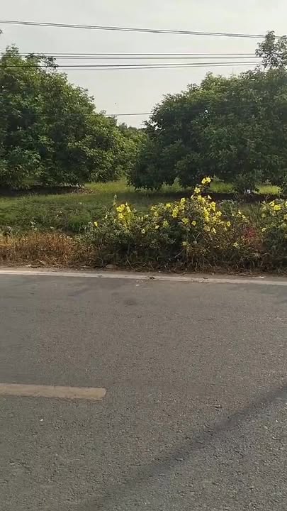 Đất thổ cư mặt tiền đường 725, Đạ Huoai, 675m² giá 1.85 tỷ - Cơ hội đầu tư hiếm có!