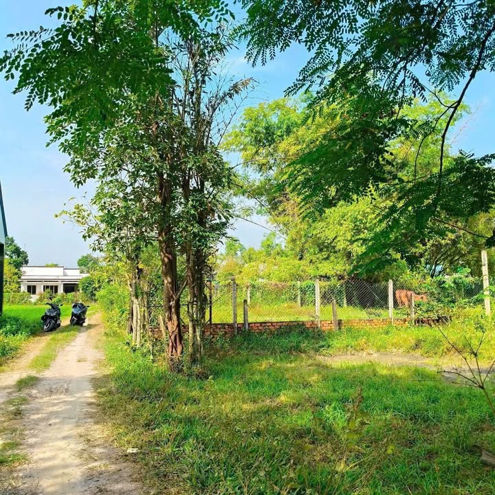 Đất nền 588m² tại Đức Hòa, Long An - Giá chỉ 1.45 tỷ, chính chủ bán!