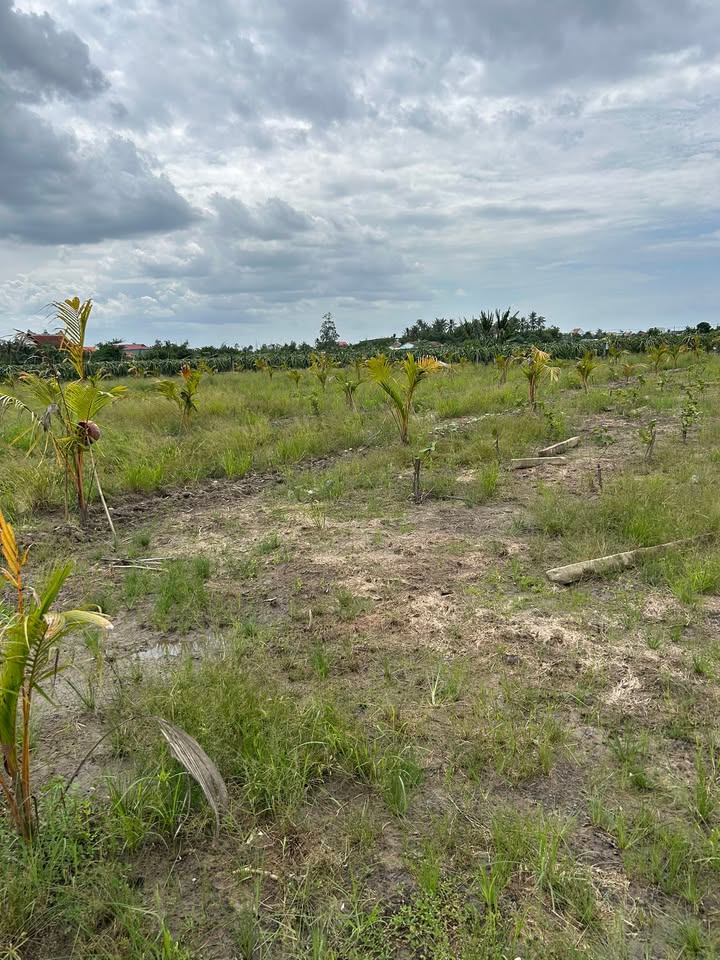 Đất ruộng 2.75 công tại Dương Xuân Hội, giá 2.75 tỷ - Cơ hội đầu tư hấp dẫn!