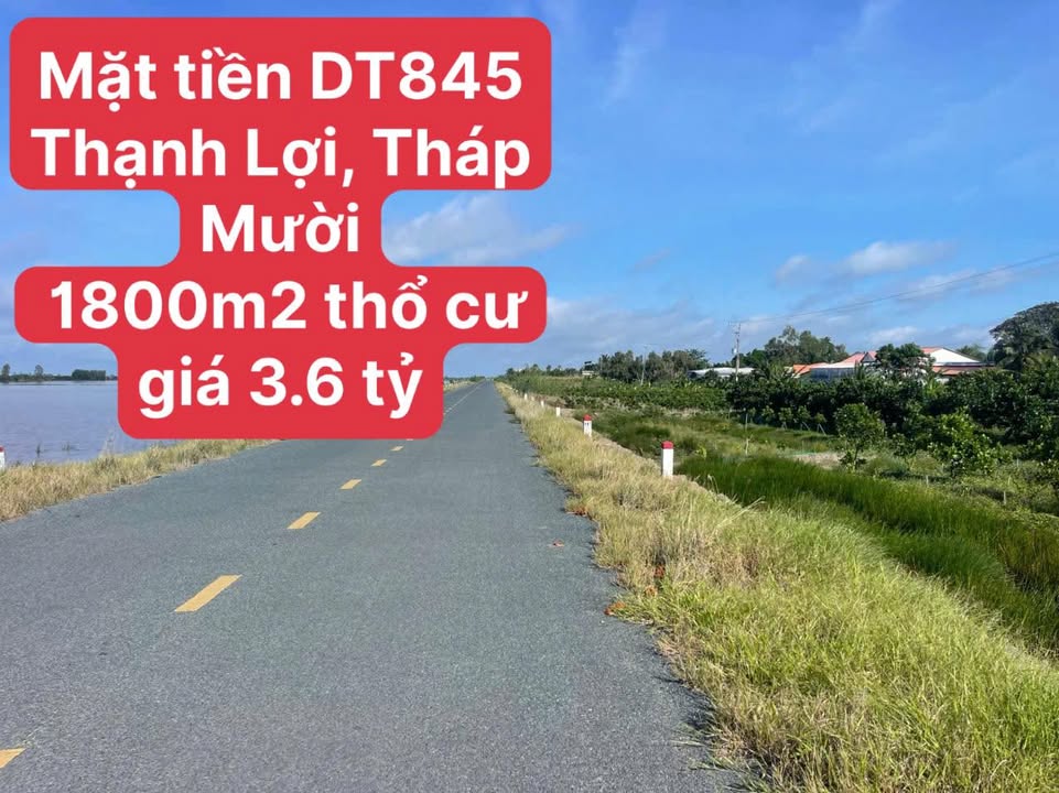 Đất nền mặt tiền DT845, Cao Lãnh, 1800m² chỉ 3.6 tỷ - Cơ hội vàng đầu tư!