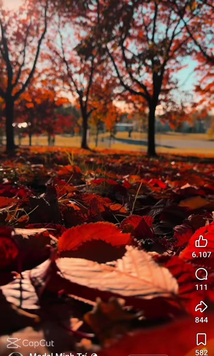 Đất nền Tam Quang, Núi Thành 175m² giá chỉ 950 triệu - Cơ hội đầu tư tuyệt vời!