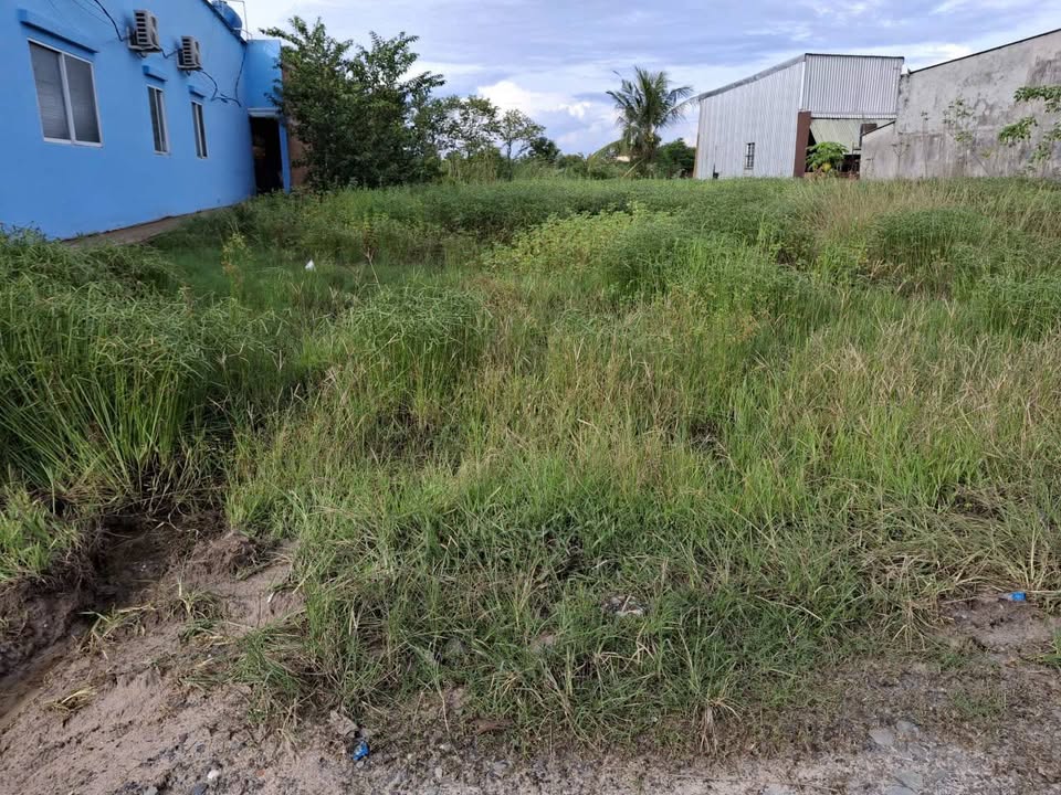 Đất thổ cư xã Đức Hòa Thượng 580m² giá 2.1 tỷ - Cơ hội đầu tư tuyệt vời!